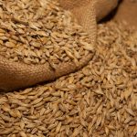 trocar-o-arroz-pela-cevada-ajuda-a-emagrecer
